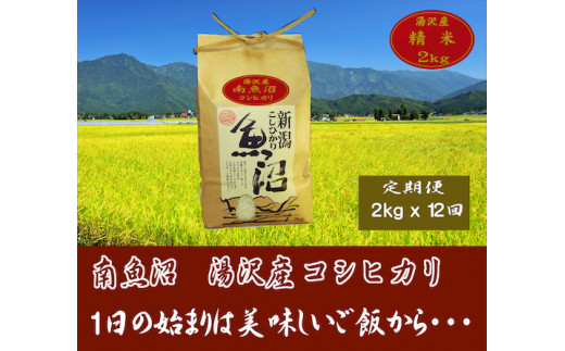 【12ヶ月定期便】令和5年産【湯沢産コシヒカリ】＜精米＞（白米