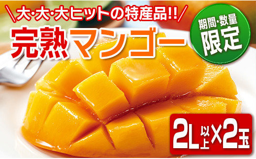 数量限定 日南市産 完熟 マンゴー 2L以上×2玉 フルーツ 果物 人気 国産 ...