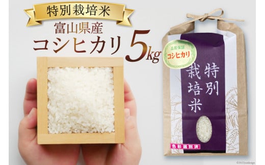 期間限定発送】 米 令和6年 特別栽培米 コシヒカリ 精米 5kg [マッキーファーム 富山県 朝日町 34310317] お米 白米 こしひかり  美味しい 農家 直送 - 富山県朝日町｜ふるさとチョイス - ふるさと納税サイト