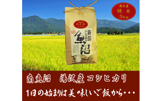 令和5年産【湯沢産コシヒカリ】＜精米＞（白米）5kg 精米したての