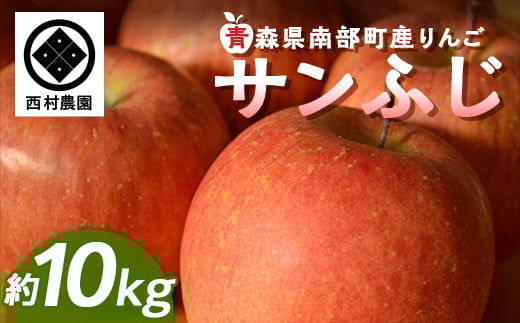 yX암zX Tӂ (EE) 10kg y_z S ь Abv  X X 암 O 암 ʕ  t[c 3kg 5kg ȏ F21U-218
