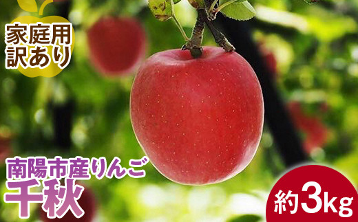 令和6年産先行予約】 〈訳あり品 家庭用〉 りんご 「千秋」 約3kg (8～12玉前後) 《令和6年9月下旬～発送》 『平農園』 リンゴ 果物  フルーツ 産地直送 生産農家直送 山形県 南陽市 [1643] - 山形県南陽市｜ふるさとチョイス - ふるさと納税サイト