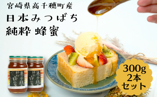 日本みつばち 高千穂の純粋蜂蜜 300g×2本 セット A-24