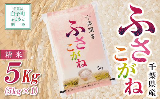 新米】令和5年産 千葉県産ふさこがね＜精米＞10kg(5kg×2袋) ふるさと