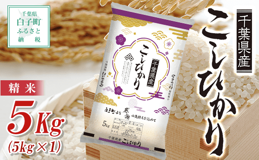 令和5年産 千葉県産 コシヒカリ（精米）20kg（2023年9月上旬から発送