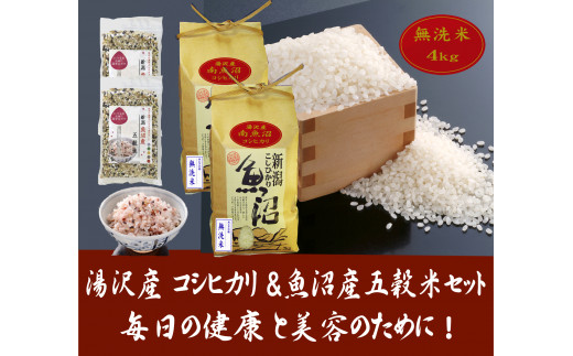 新米】コシヒカリブレンド 白米約30㎏ - 米/穀物