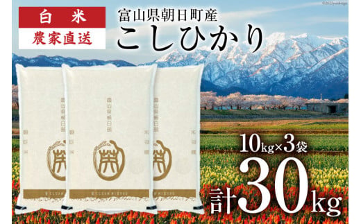 期間限定発送 米 令和6年 こしひかり 精米 30㎏ [クリーンみず穂 富山県 朝日町 34310263] お米 コシヒカリ コメ 30キロ ご飯  ごはん 白米 産地直送 一等米 おこめ こめ - 富山県朝日町｜ふるさとチョイス - ふるさと納税サイト