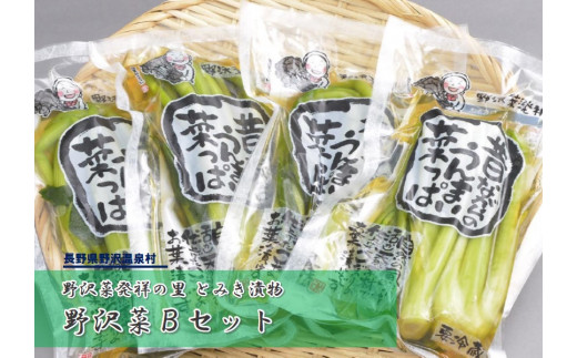 通販 公式 【ふるさと納税】木曽町のおいしいセット～其の弐～ 野沢菜