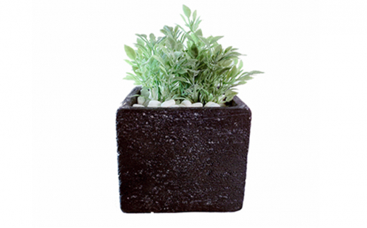 yttsz^CeAO[@DiamondPlants@Short eB[[tEubN [5346-7008]0185