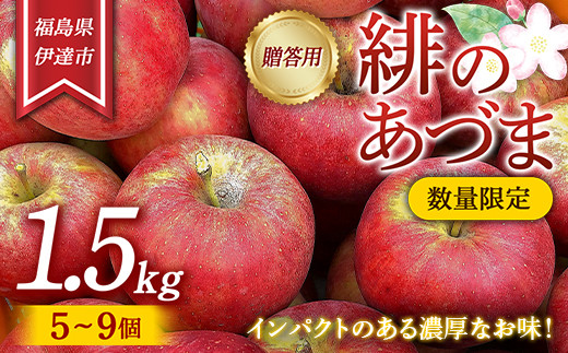 数量限定】りんご 贈答用 緋のあづま 1.5kg（5〜9個） リンゴ 林檎