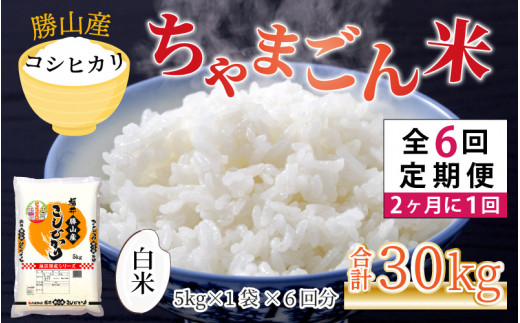 白米5kg×2回コシヒカリ 5キロ- 令和5年　白米or玄米　定期購入者