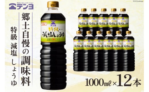 大評判 【ふるさと納税】調味料 しょうゆ 減塩 セット 特選 テンヨ