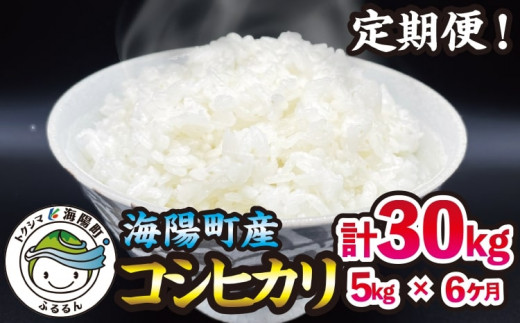 サンプル写真