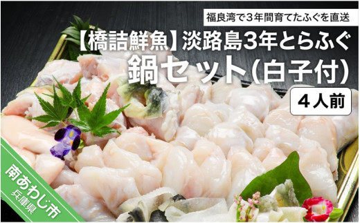 橋詰鮮魚】淡路島3年とらふぐ鍋セット（白子付）４人前◇配送11月1日