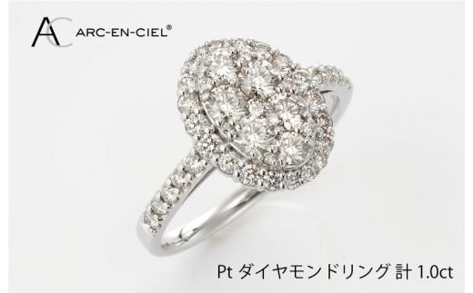 ARC-EN-CIEL PTダイヤリング（計 1.0ct） - 大阪府泉佐野市｜ふるさと