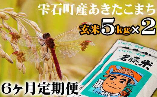 新米 雫石町産 あきたこまち 玄米 約10kg ／ 6ヶ月 定期便 【わかふじ