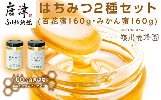 唐津産はちみつ2種セット(百花蜜160g・みかん蜜160g) 純粋はちみつ