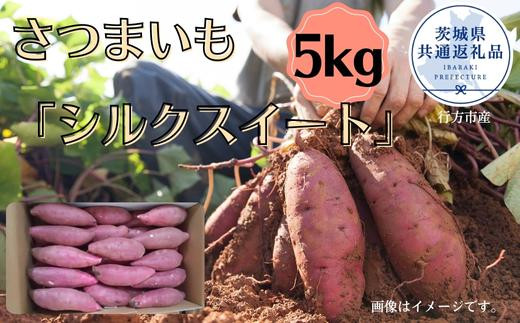 さつまいも「シルクスイート」5kg(茨城県共通返礼品・行方市産) - 茨城