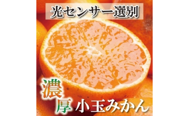 11月より発送＞家庭用 小玉な有田みかん10kg+300g（傷み補償分）【わけあり・訳あり】【光センサー選果】 - 高野町高野町 | ふるさと納税 [ ふるさとチョイス]