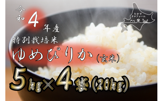 新米】令和4年産 北海道米 ゆめぴりか 玄米 20kg | www