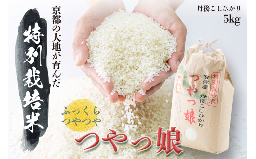 ☆こっちゃん様☆専用【特別栽培米 朝日】20kg