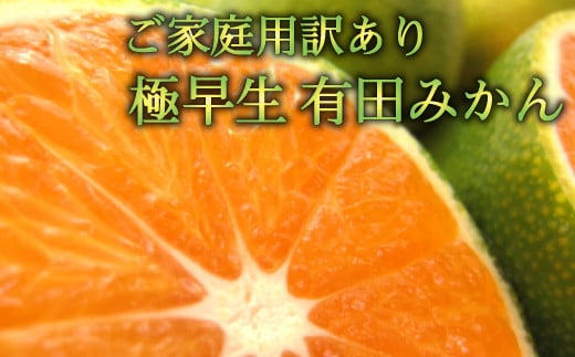 【初秋の美味】有田育ちのご家庭用訳あり濃厚極早生有田みかん　約10kg【サイズ混合】【2023年10月頃から順次発送予定】　※北海道・沖縄・離島配送不可