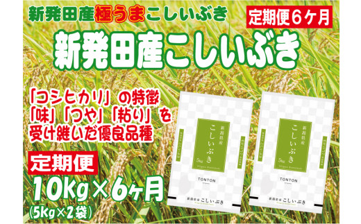 10kg×6か月】 令和6年産 米 先行予約 坂井ファーム 特別栽培米