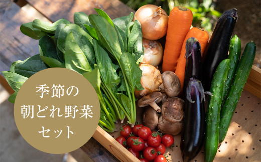 yØa쒬zYnØaYÊꂽď{̖؋lߍ킹Zbg[6`8Zbg]y1336030z