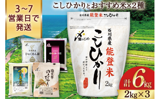 米 コシヒカリ2kg & おすすめ 2kg ×2種類 計6kg 令和4年 精米 白米