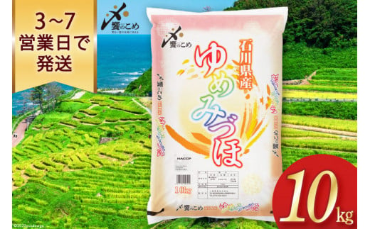 ふるさと納税 宝達志水町 米 令和5年 ゆめみづほ 精米 10kg [中橋商事