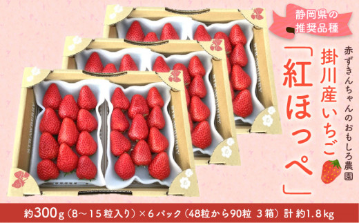 １７５６ 掛川産いちご 紅ほっぺ 約300g×６パック 計1.８ｋｇ