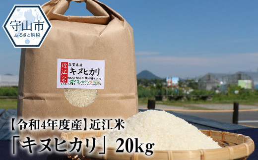 近江米「キヌヒカリ」 20kg - 滋賀県守山市｜ふるさとチョイス