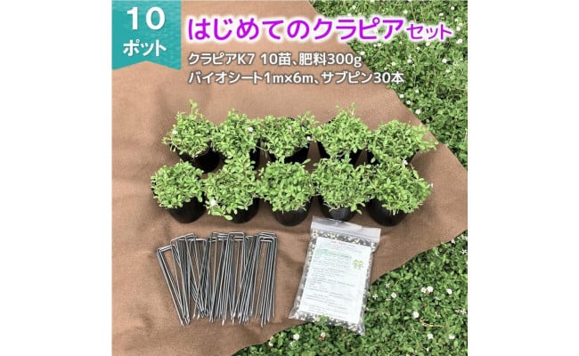 グランドカバー植物「はじめてのクラピアセット」クラピアK7 10ポット他 - 栃木県小山市｜ふるさとチョイス - ふるさと納税サイト