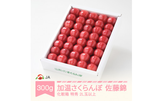 yR`Rszs\ nEX   2026NY ߘa8NY 300g ϔ G2Lʈȏ o ja-snk2x300