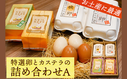 【福岡県小竹町】特選卵とカステラの詰め合わせA 《30日以内に出荷予定(土日祝除く)》福岡県 鞍手郡 小竹町 卵 カステラ かすてら 詰め合わせ 送料無料 有限会社畠中育雛場