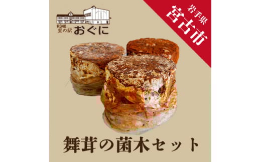 y茧{ÎszƒŊy߂遄̋ۖ؁@3y1290639z