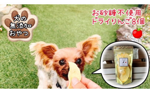 FB153 犬の無添加ごはん☆具だくさんカレー＆クリームシチュー