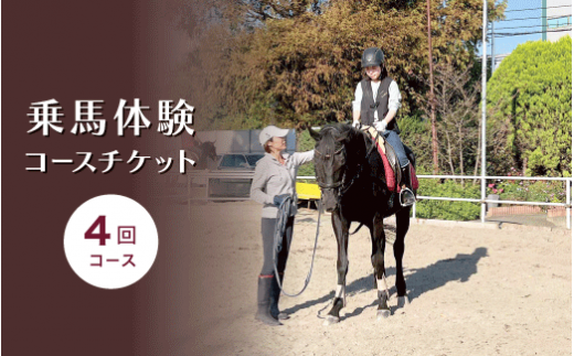 乗馬体験コースチケット４回コース｜乗馬体験 レンタル付 乗馬 乗馬散歩 馬 自然 初心者 安心 スポーツ アウトドア - 神奈川県座間市｜ふるさとチョイス  - ふるさと納税サイト