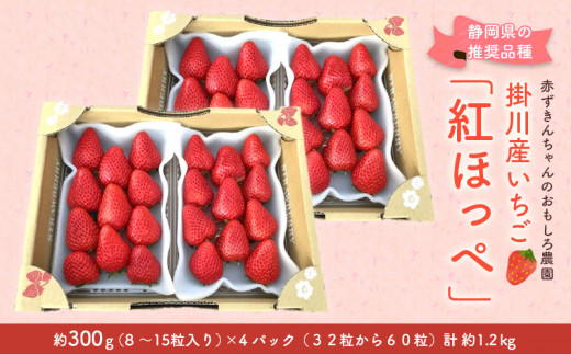 １１７４ 掛川産いちご 紅ほっぺ 約300g×4パック 計1.2ｋｇ 受付順に