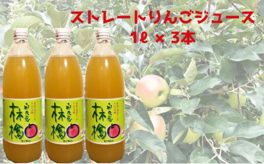 サンプル写真