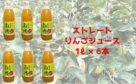 サンプル写真