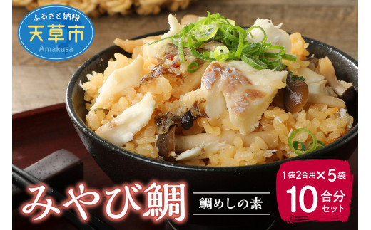 【熊本県天草市】S124-002_みやび鯛 鯛めしの素 5袋セット 本格的な鯛めしをお手軽に♪(1袋2合用)