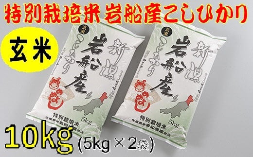 令和4年産 新潟県 岩船産コシヒカリ 玄米30kg | hartwellspremium.com