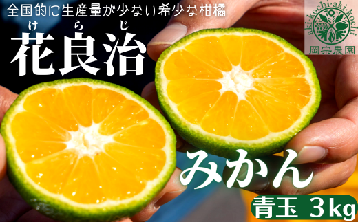 みかん 青玉 3kg ミカン フルーツ 果物 柑橘 ギフト プレゼント 贈答用