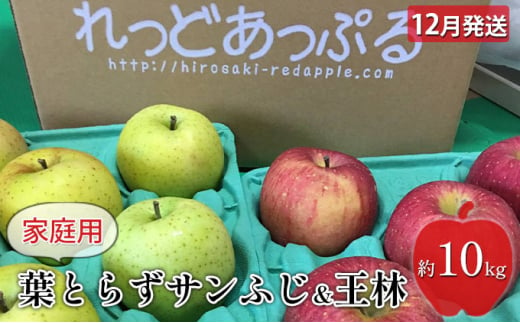 【12月発送】家庭用 葉とらずサンふじ＆王林　約10kg【弘前市産・青森りんご】