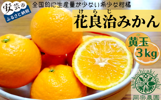 00-29 岡宗農園の花良治(ケラジ)みかん 黄玉 3kg - 高知県安芸市｜ふるさとチョイス - ふるさと納税サイト