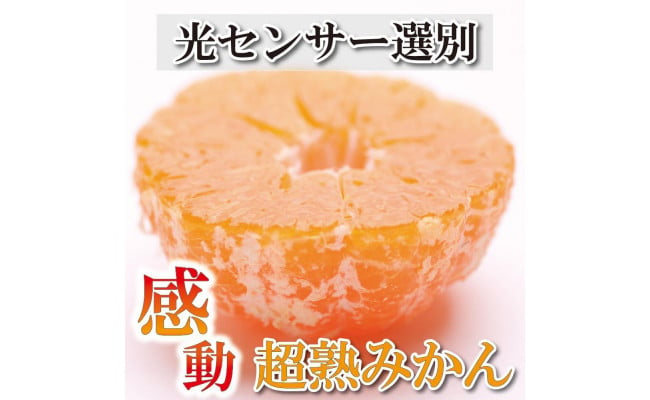 11月より発送＞家庭用 超熟有田みかん4kg+120g（傷み補償分）【わけあり・訳あり】【光センサー選果】 - 和歌山県かつらぎ町｜ふるさとチョイス  - ふるさと納税サイト