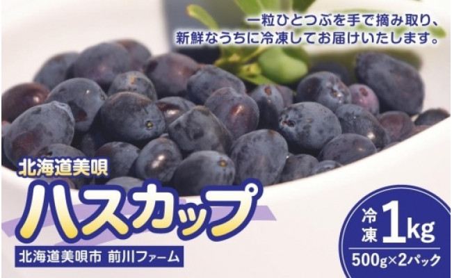 令和4年産】前川ファームのハスカップ１ｋｇ（500ｇ×2）【冷凍】 - 北海道美唄市｜ふるさとチョイス - ふるさと納税サイト