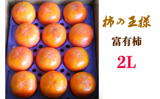 [先行予約／令和6年産]《柿の王様》加藤果樹園の富有柿 2Lサイズ 12個入り 11月上旬～12月上旬発送予定 [mt022]