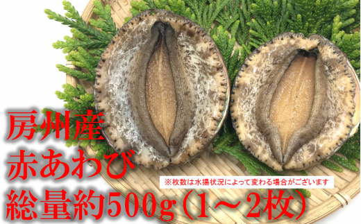 【漁期解禁！まもなくお届け開始】　房州産天然赤あわび約500g mi0014-0024